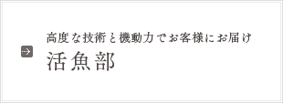 高度な技術と機動力でお客様にお届け 活魚部