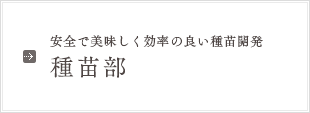 安全で美味しく効率の良い種苗開発 種苗部