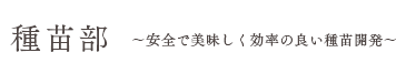 種苗部　安全で美味しく効率の良い種苗開発