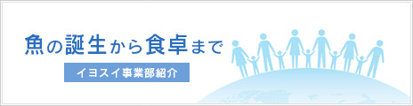 魚の誕生から食卓まで イヨスイ事業部紹介